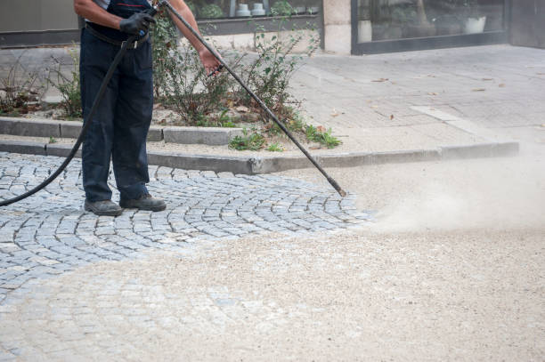 Best Sidewalk and Walkway Cleaning  in Carson, WA